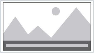 校天犬-自定义网课